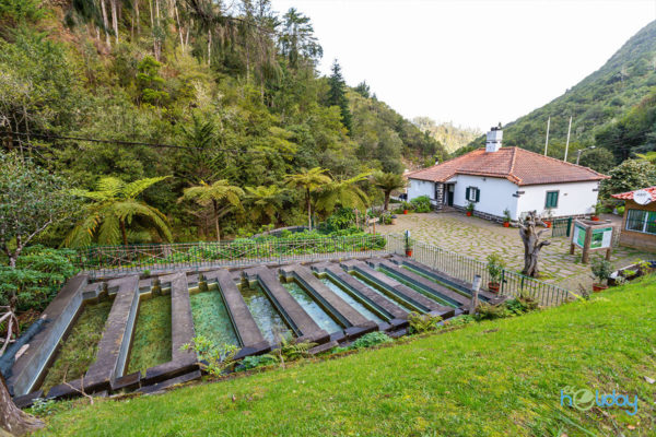 Passeio Dia Inteiro: Este - Ribeiro Frio