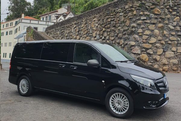 Tailored Private Tours - Up to 8 People - Image 3